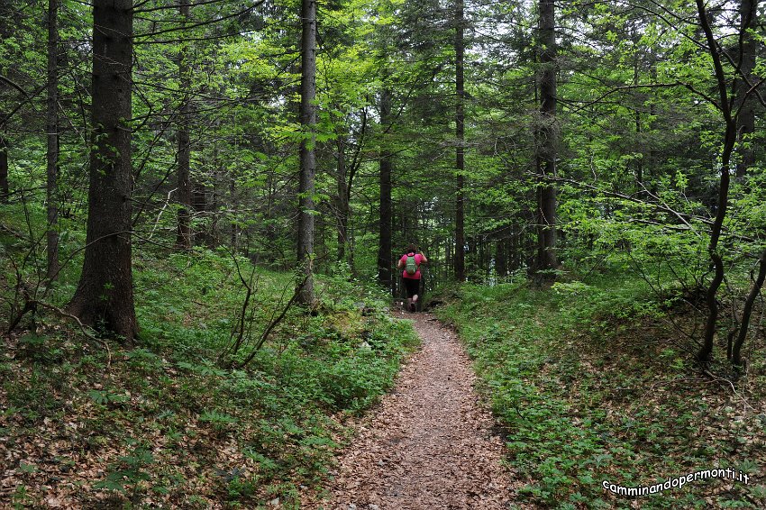 177 Monte Alben La Croce.jpg